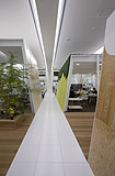 TBWA-HAKUHODO�Q