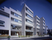 �A�[�o���X�^�C���Z�{�؎O�͑�P