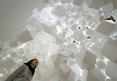 クマグスのモリ / KUMAGUSU MINAKATA'S FOREST２