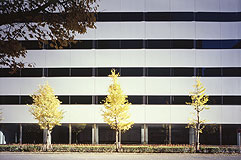 汐留イーストサイドビル<br />SIODOME EASTSIDE BUILDING１