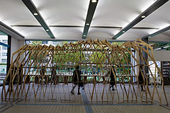 フォリー6556<br />FOLLY6556１